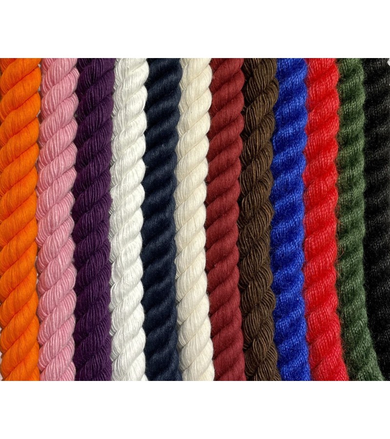 Main Event | Queue Management Systems & Barriers